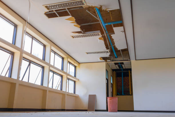 Best Water damage restoration near me  in South Henderson, NC