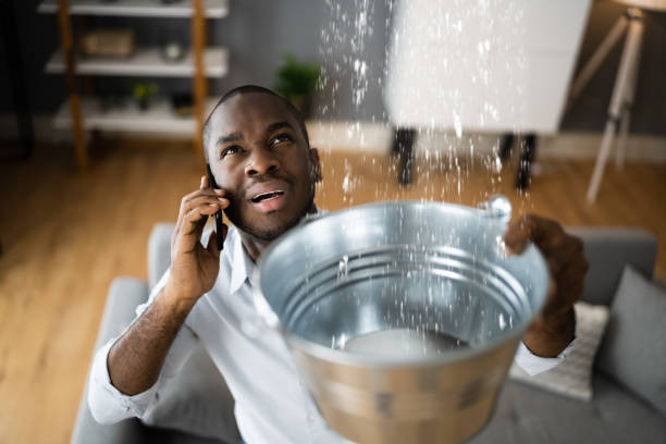 Best 24/7 water damage repair  in South Henderson, NC