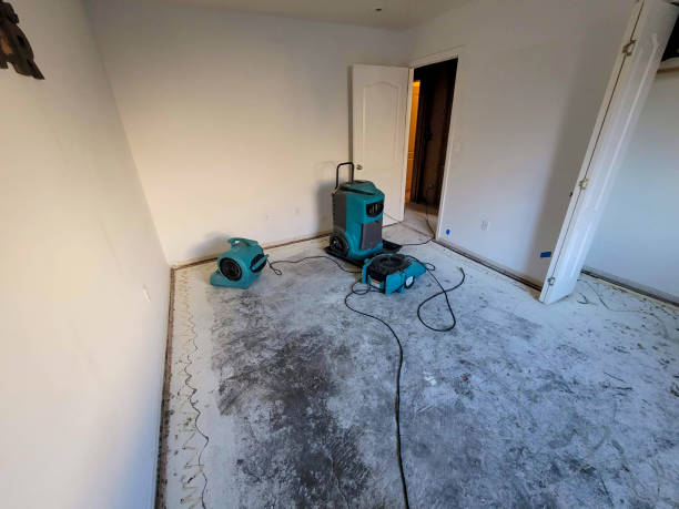 Best Water damage restoration specialists  in South Henderson, NC