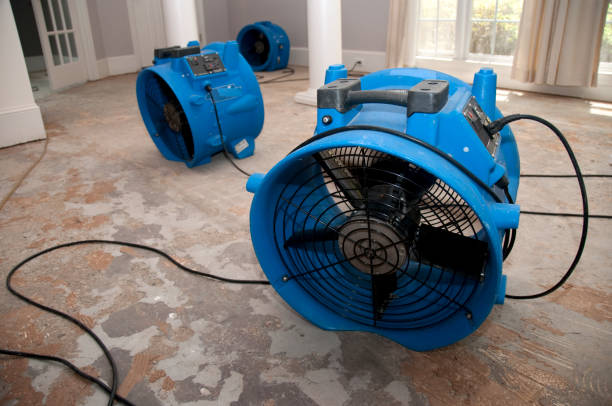 Best Local water damage restoration  in South Henderson, NC