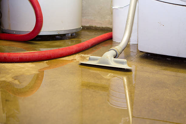 Best Water damage restoration near me  in South Henderson, NC