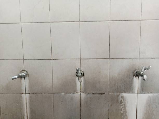 Best Professional water damage repair  in South Henderson, NC