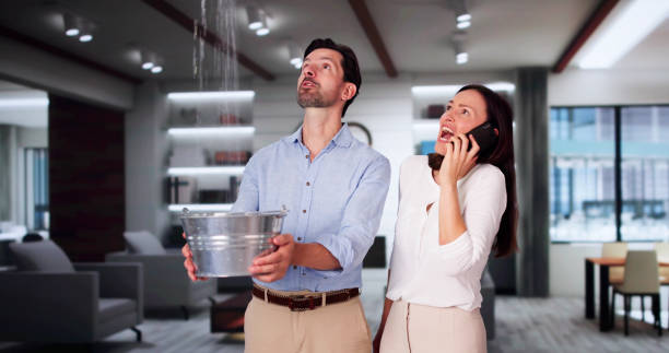 Best Ceiling water damage repair  in South Henderson, NC
