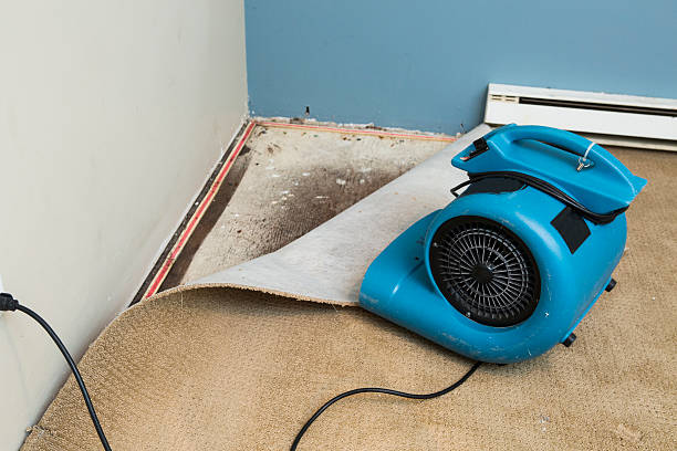 Best Water damage restoration insurance claims  in South Henderson, NC